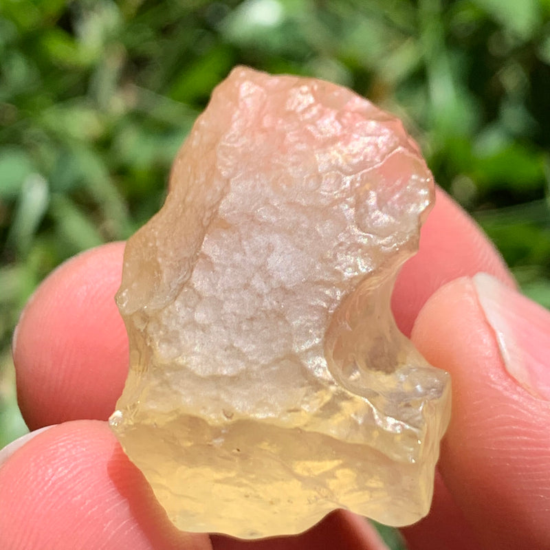 Libyan Desert Glass 11.7 grams-Moldavite Life
