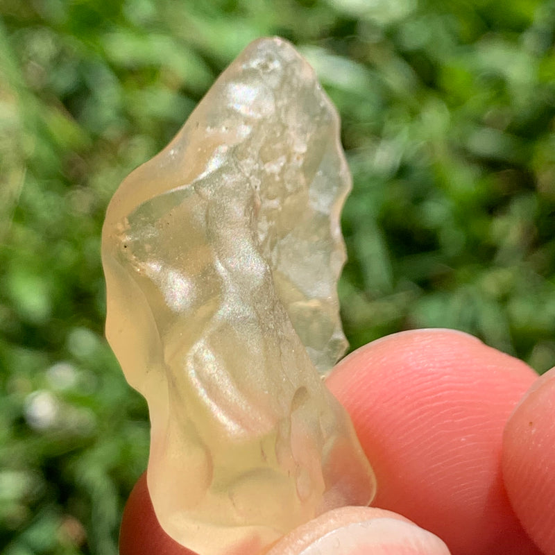 Libyan Desert Glass 7.9 grams-Moldavite Life