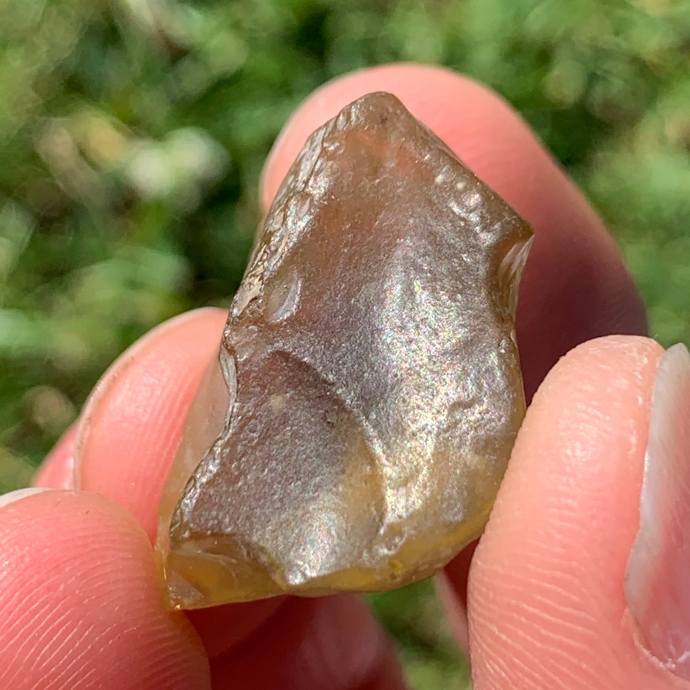 Libyan Desert Glass 9.4 grams-Moldavite Life