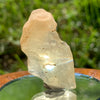 Libyan Desert Glass 10.0 grams-Moldavite Life