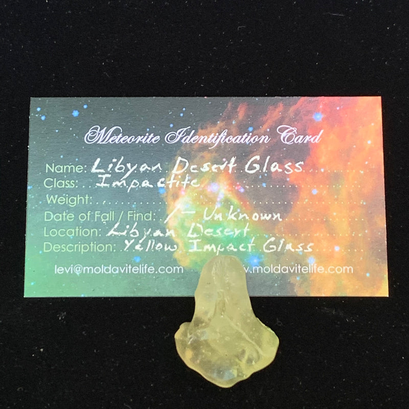 Libyan Desert Glass 10.8 grams-Moldavite Life