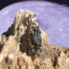 Lunar Meteorite & Faceted Moldavite Pendant 14k Gold #2243-Moldavite Life