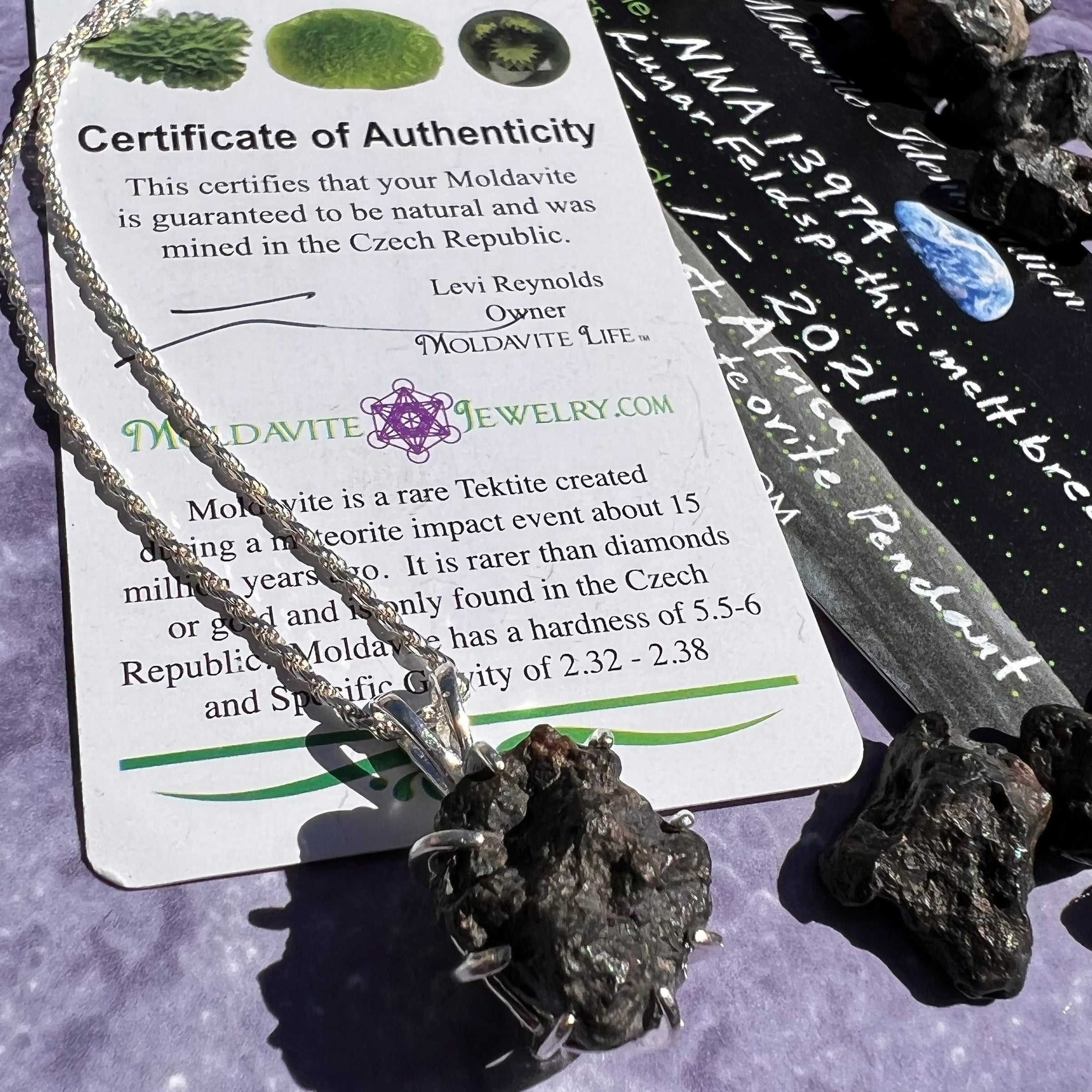 Lunar Meteorite & Moldavite Necklace Sterling Silver #2272-Moldavite Life