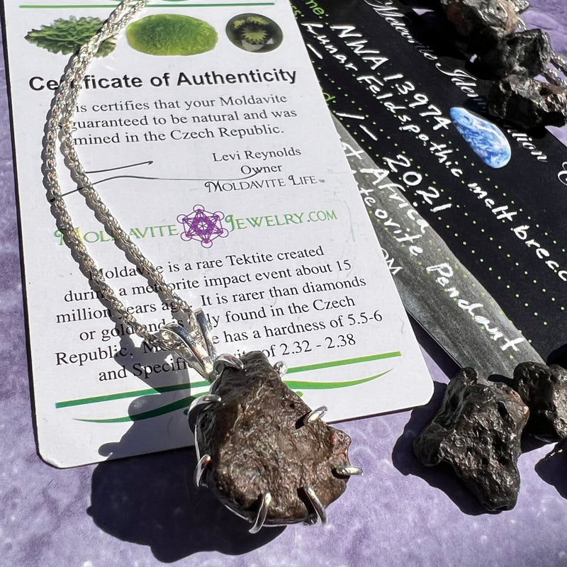 Lunar Meteorite & Moldavite Necklace Sterling Silver #2273-Moldavite Life