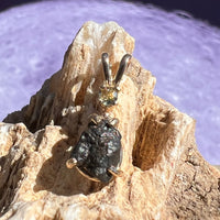 Lunar Meteorite & Moldavite Pendant 14k Gold #2242-Moldavite Life