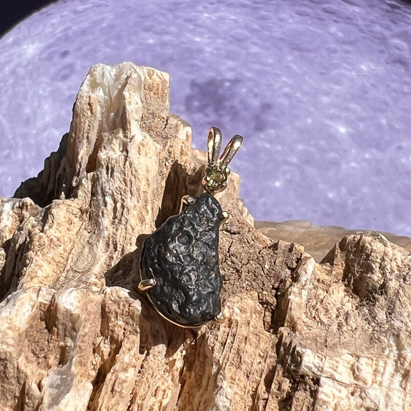 Lunar Meteorite & Moldavite Pendant 14k Gold #2244-Moldavite Life