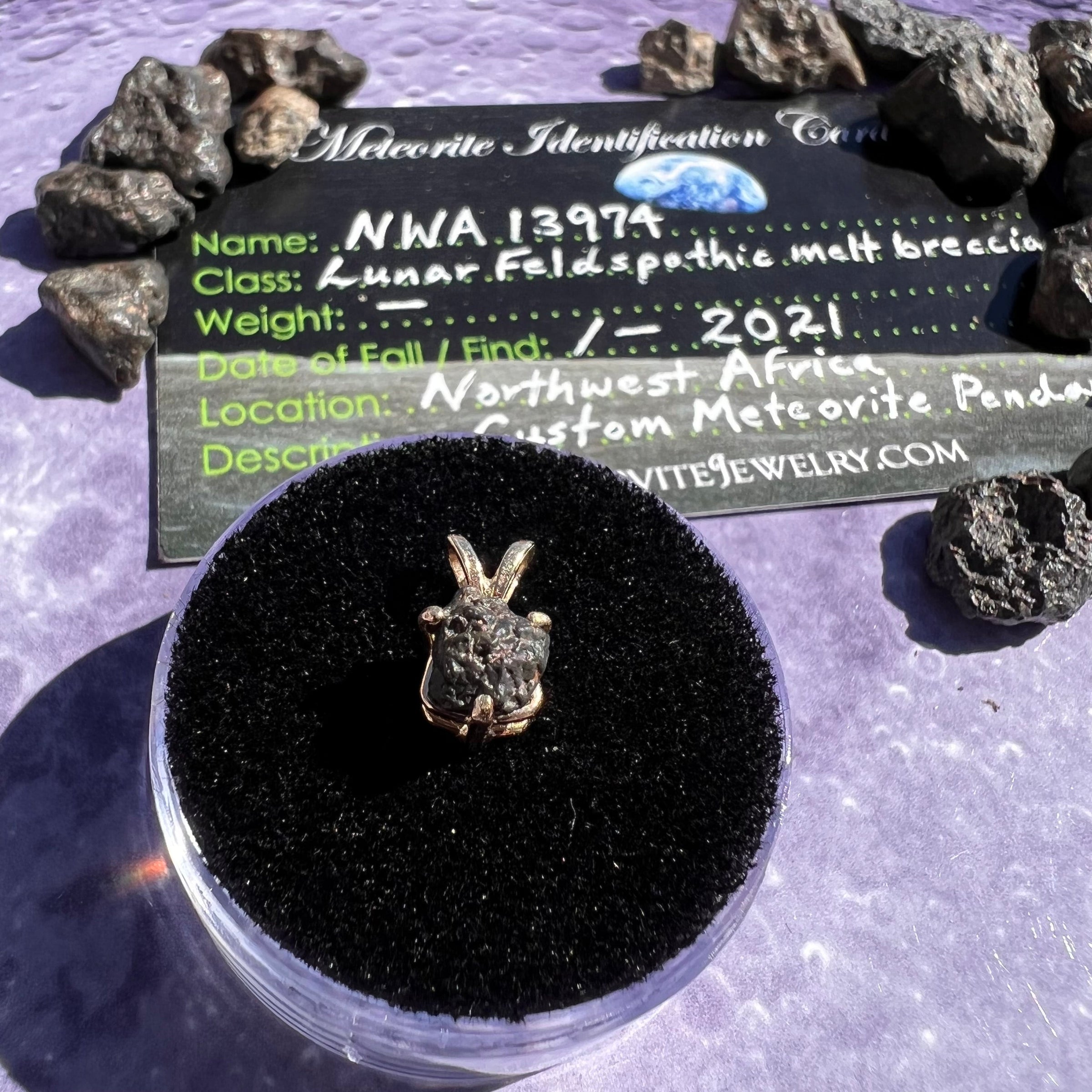 Lunar Meteorite Pendant 14k Gold #2250-Moldavite Life