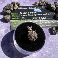 Lunar Meteorite Pendant 14k Gold #2256-Moldavite Life