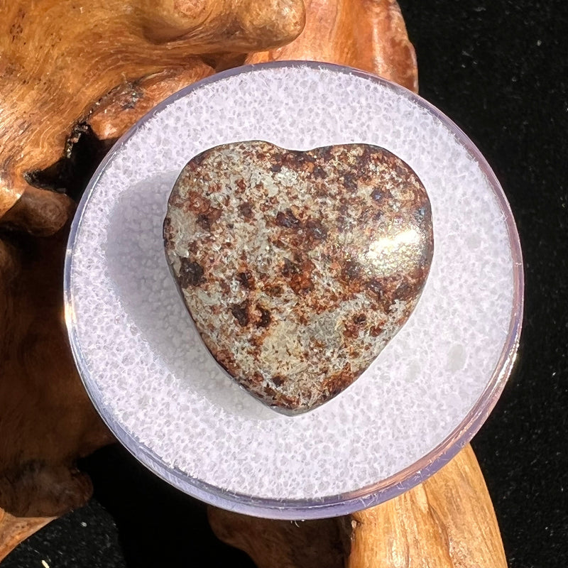 Meteorite Heart Bead for Jewelry Making #12-Moldavite Life