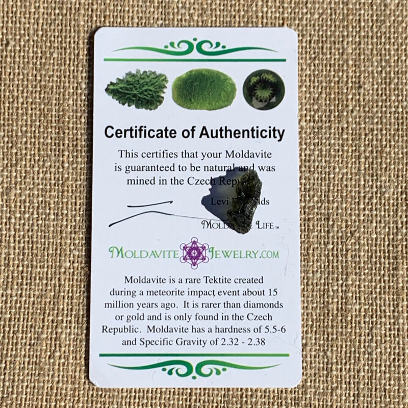 Moldavite 0.68 gram M1338-Moldavite Life