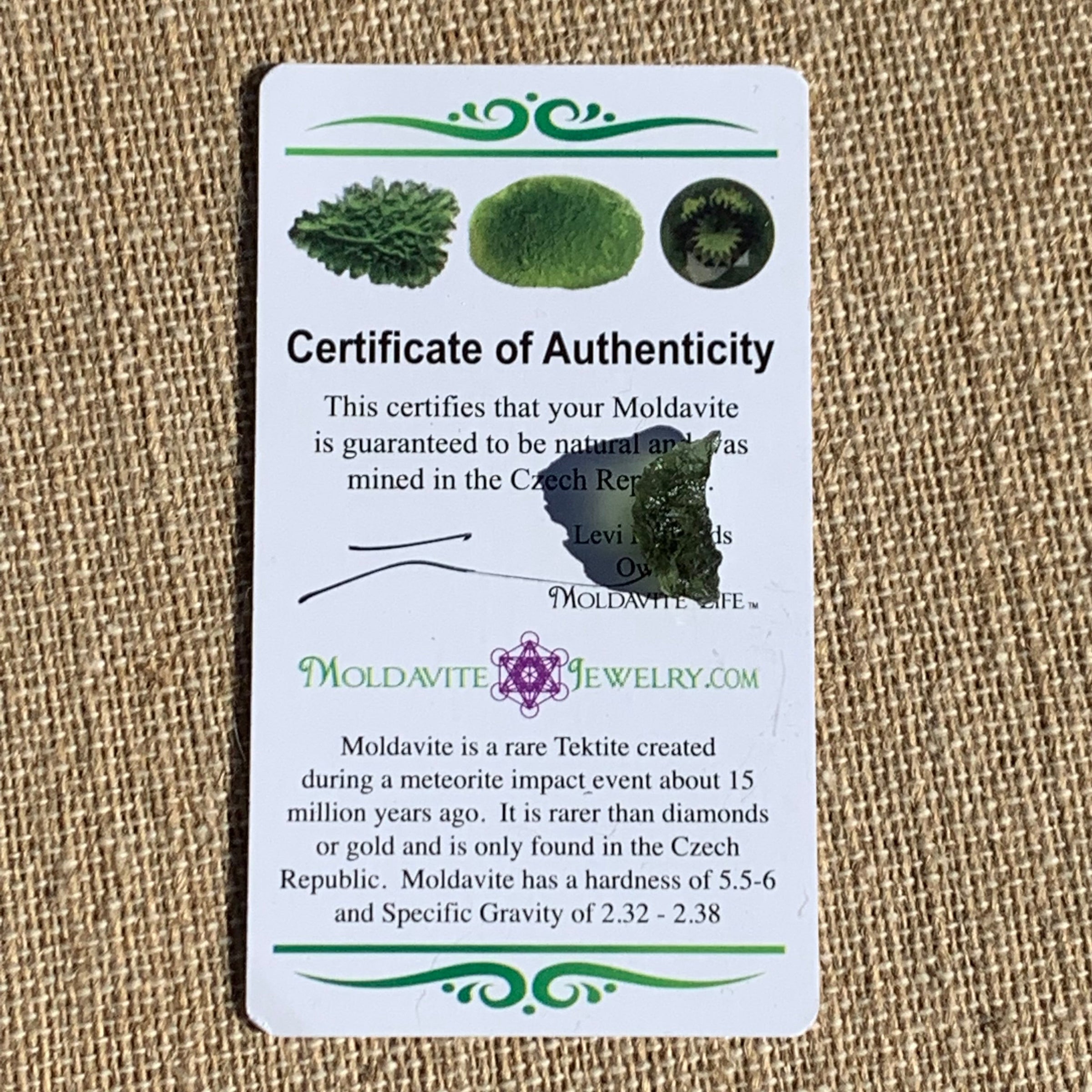 Moldavite 0.78 gram M1342-Moldavite Life