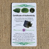 Moldavite 0.8 grams M1348-Moldavite Life