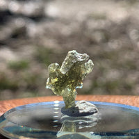 Moldavite 0.8 grams M1348-Moldavite Life