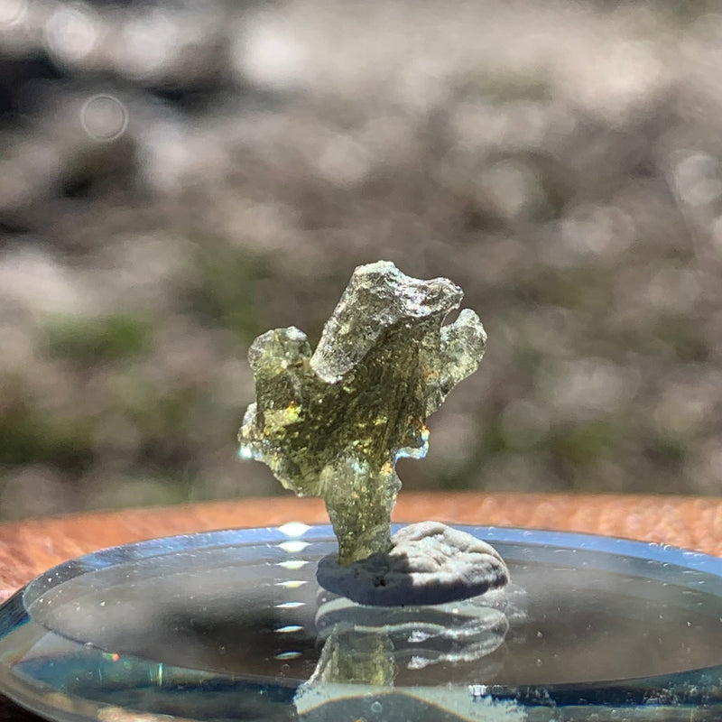 Moldavite 0.8 grams M1348-Moldavite Life