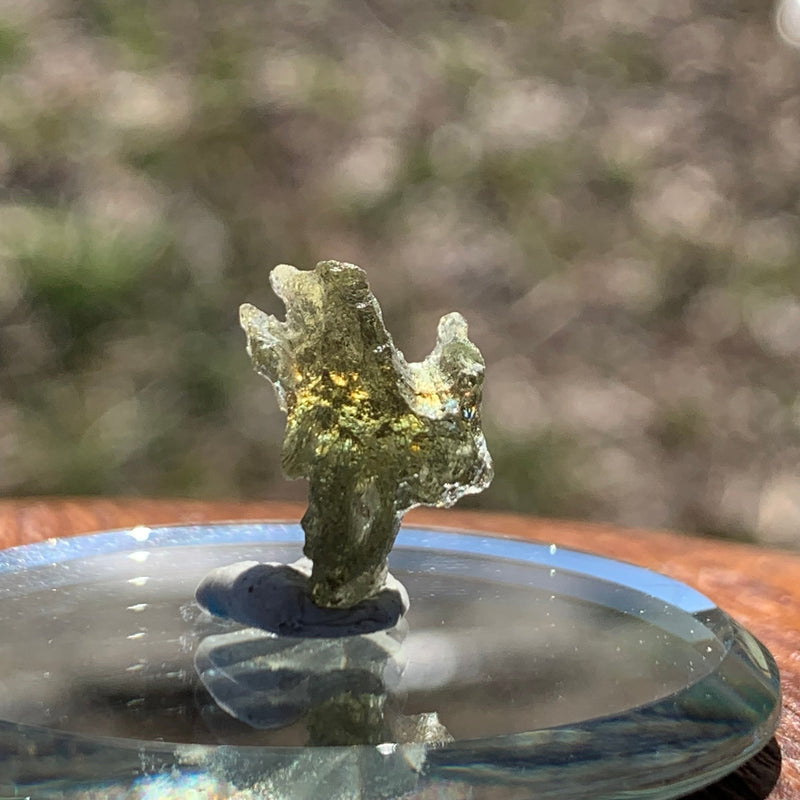 Moldavite 0.8 grams M1348-Moldavite Life