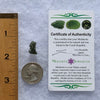 Moldavite 0.87 grams M1358-Moldavite Life