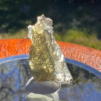 Moldavite 0.8 gram #1643-Moldavite Life