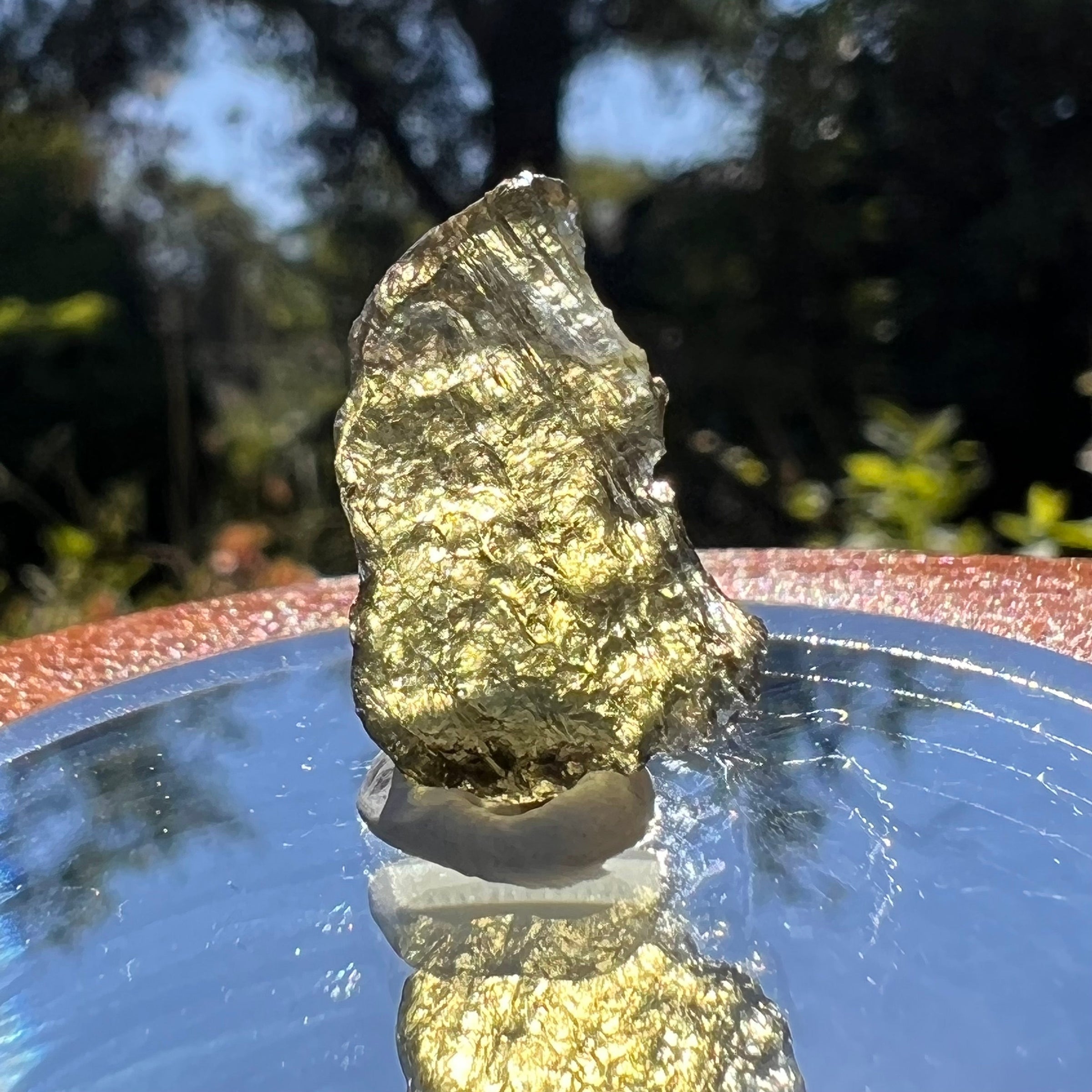 Moldavite 0.8 grams #1598-Moldavite Life