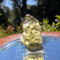 Moldavite 0.8 grams #1598-Moldavite Life