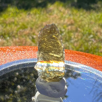 Moldavite 0.8 grams #1619-Moldavite Life