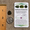 Moldavite 0.8 grams #1626-Moldavite Life