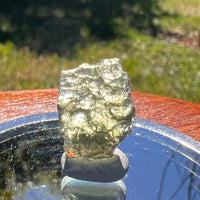Moldavite 0.8 grams #1631-Moldavite Life