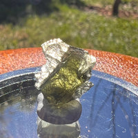 Moldavite 0.8 grams #1633-Moldavite Life