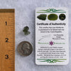 Moldavite 0.8 grams #1651-Moldavite Life