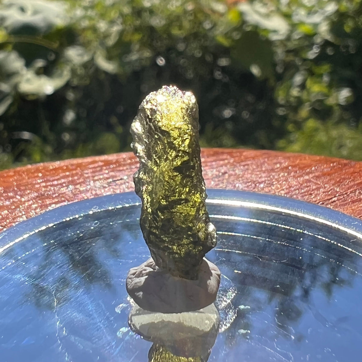 Moldavite 0.9 grams #1576-Moldavite Life