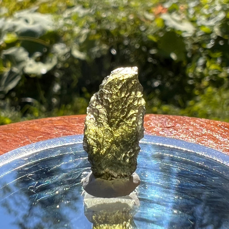 Moldavite 0.9 grams #1576-Moldavite Life