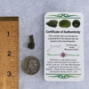 Moldavite 0.9 grams #1582-Moldavite Life