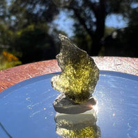 Moldavite 0.9 grams #1589-Moldavite Life