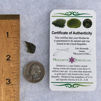 Moldavite 0.9 grams #1589-Moldavite Life