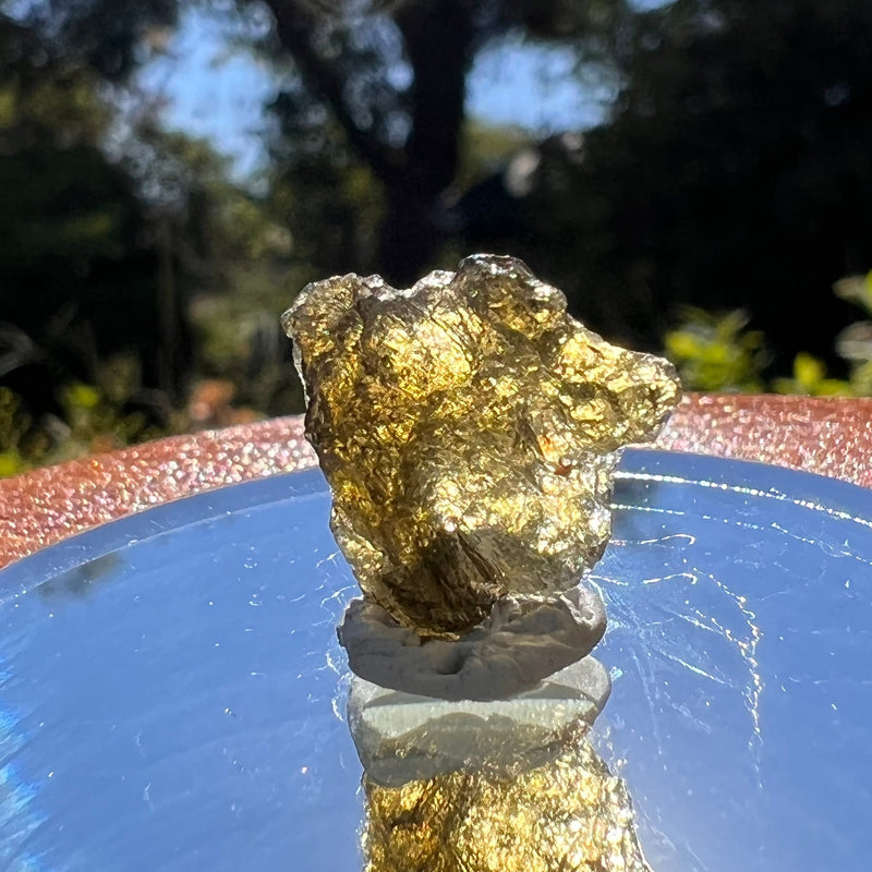 Moldavite 0.9 grams #1590-Moldavite Life