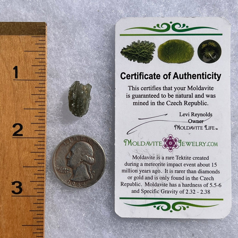 Moldavite 0.9 grams #1635-Moldavite Life