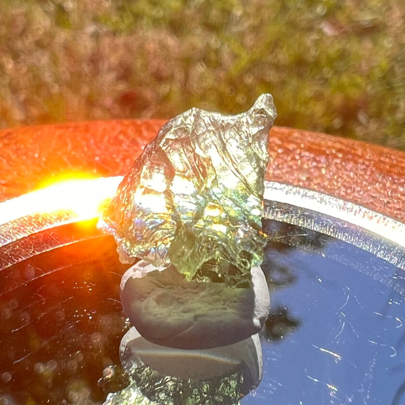 Moldavite 0.9 grams #1638-Moldavite Life