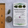 Moldavite 0.9 grams #1641-Moldavite Life