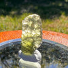 Moldavite 0.9 grams #1641-Moldavite Life