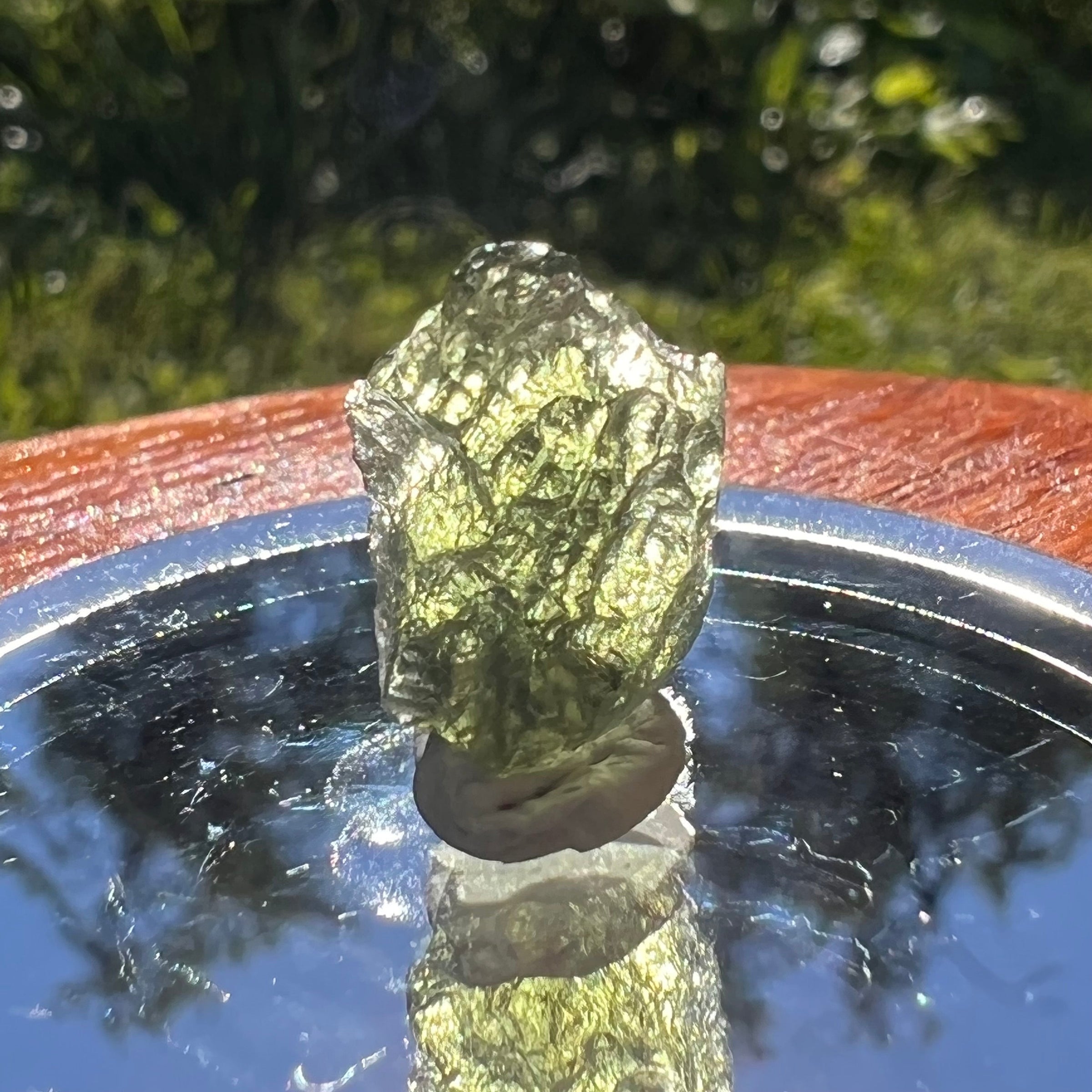 Moldavite 1 gram #1463-Moldavite Life