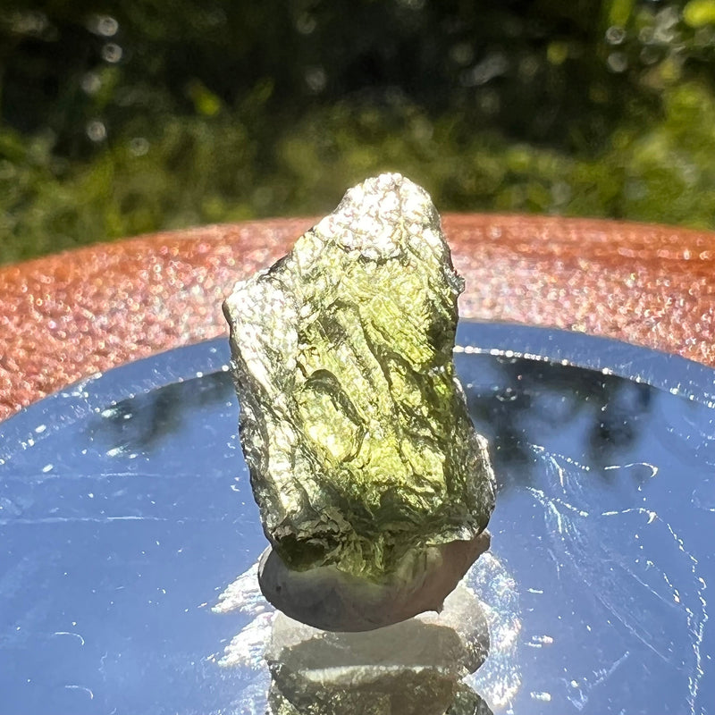 Moldavite 1 gram #1463-Moldavite Life