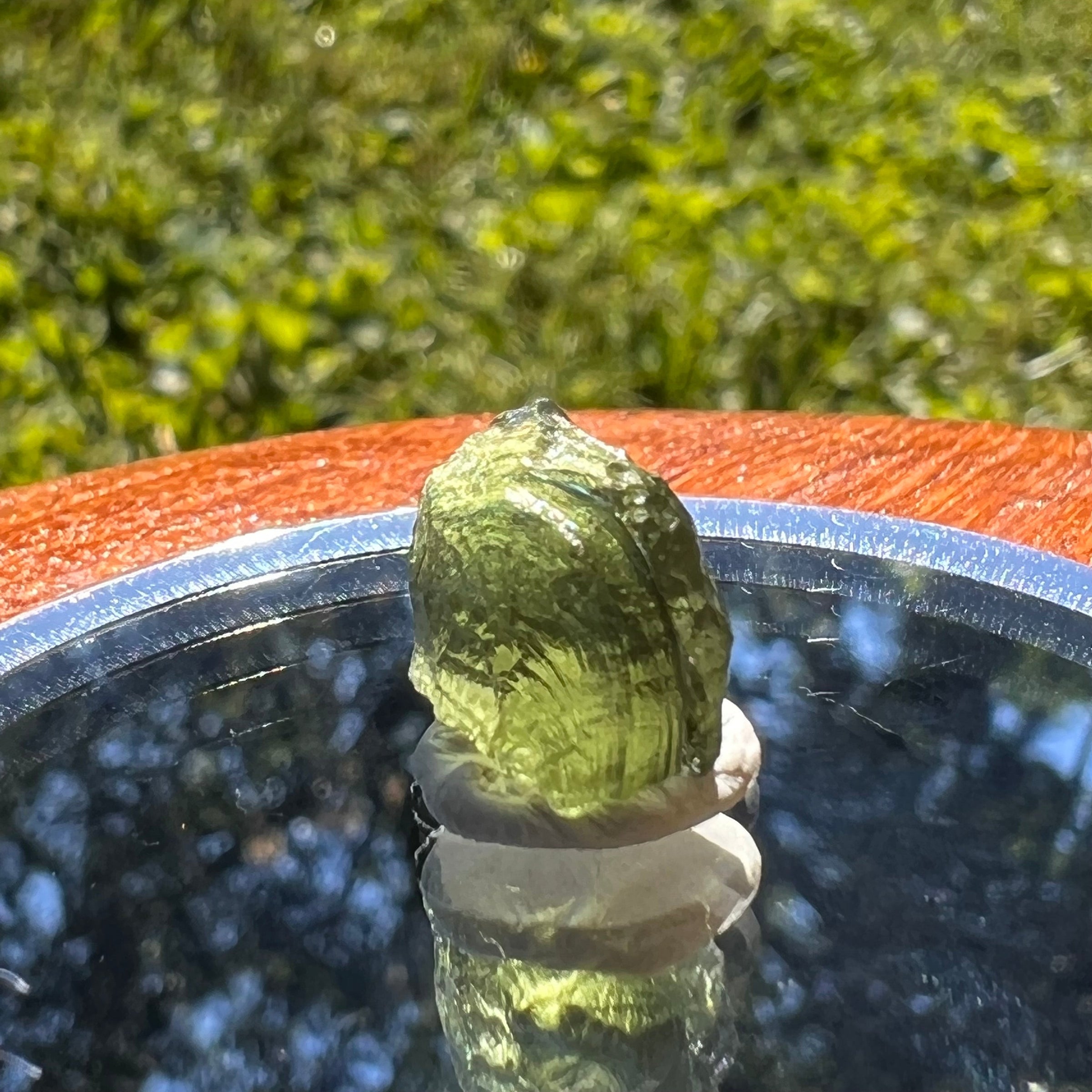 Moldavite 1 gram #1480-Moldavite Life