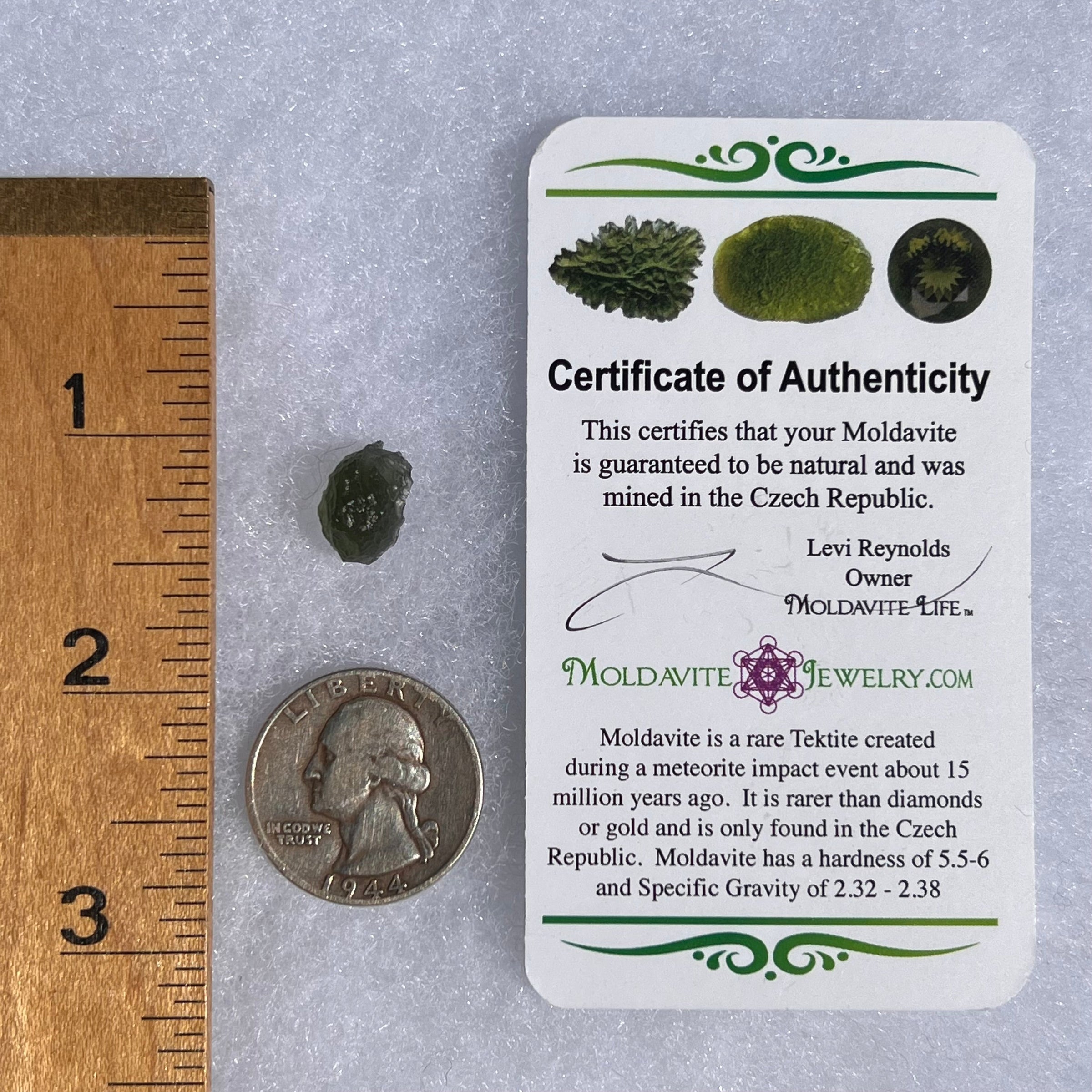 Moldavite 1 gram #1480-Moldavite Life