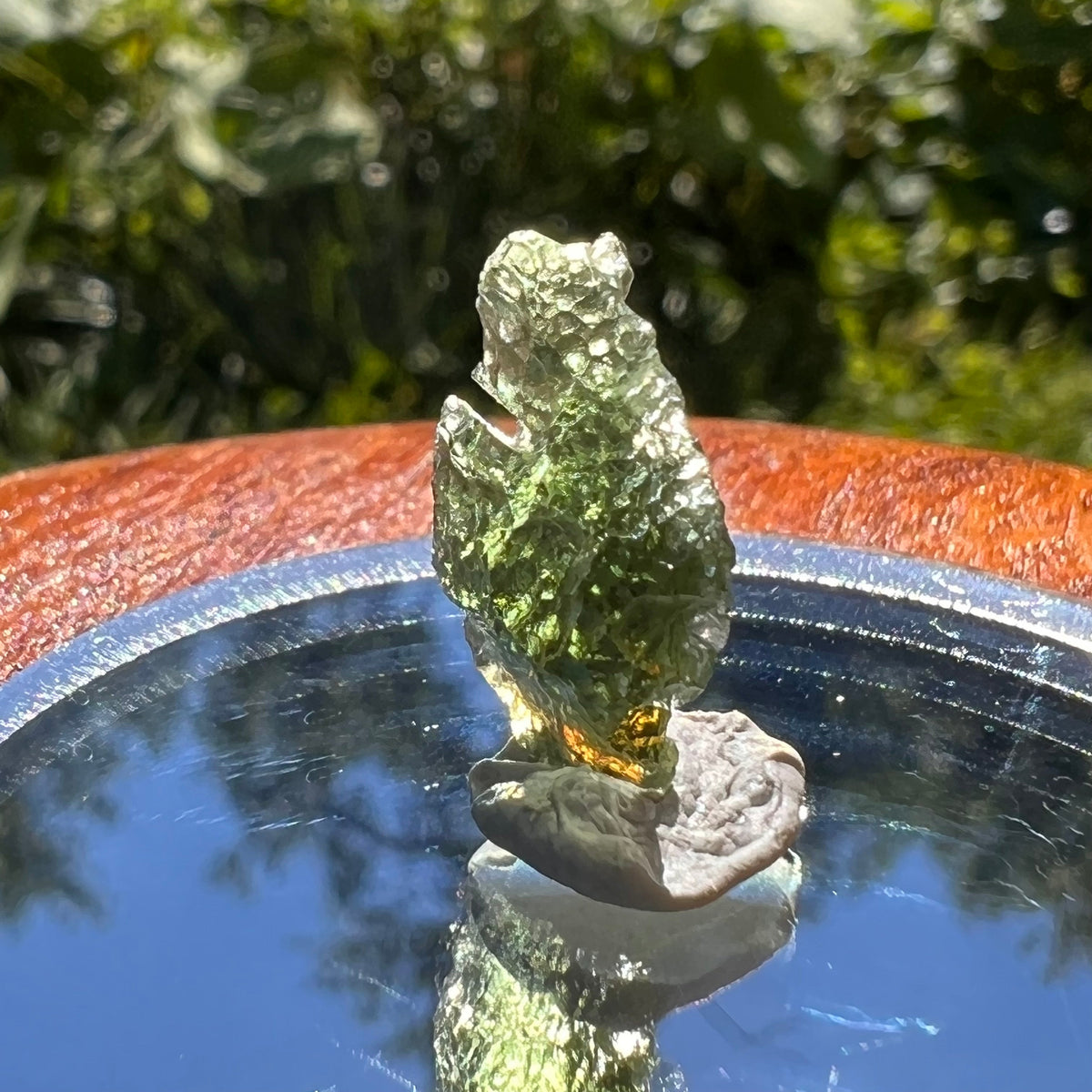 Moldavite 1 gram #1484-Moldavite Life