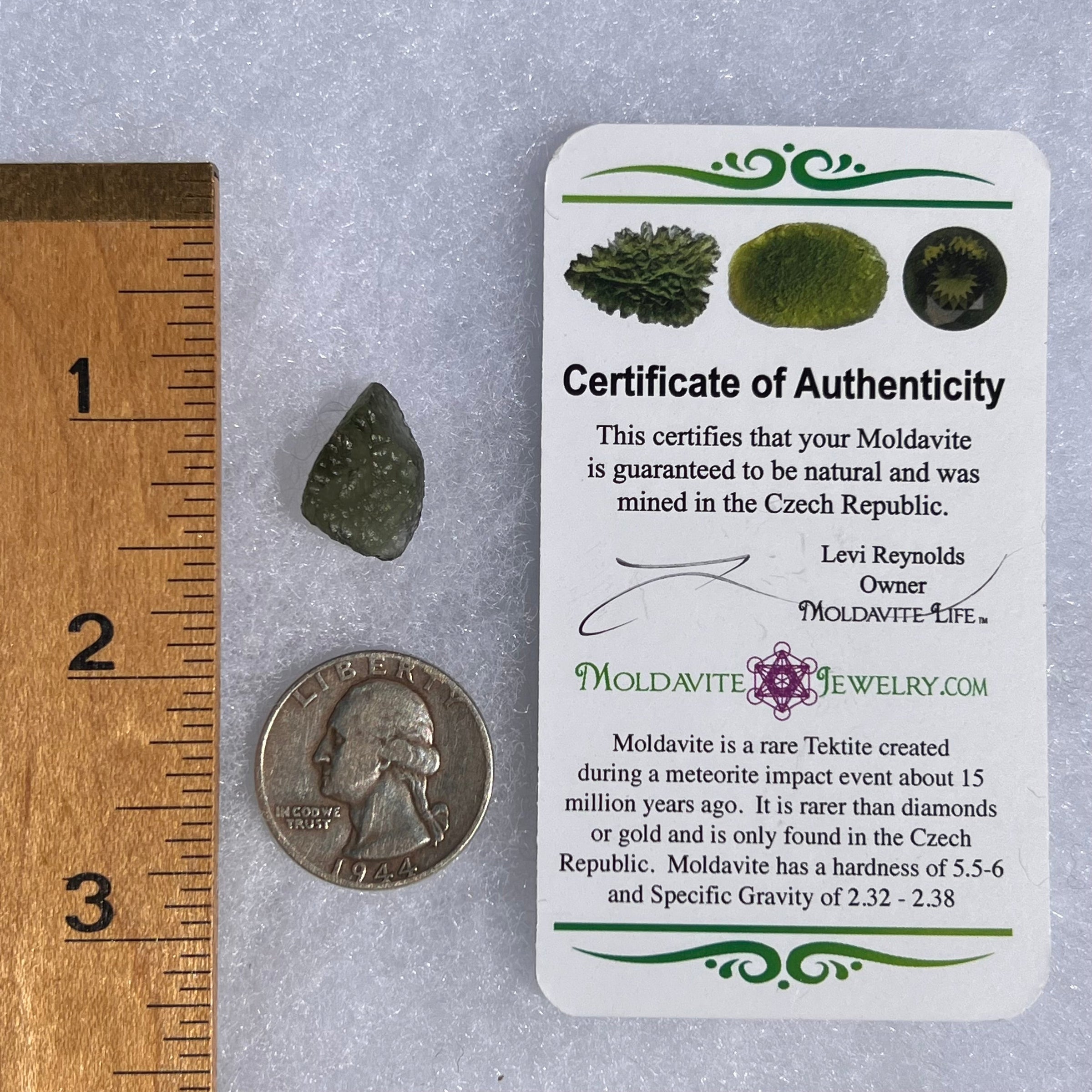 Moldavite 1 gram #1491-Moldavite Life
