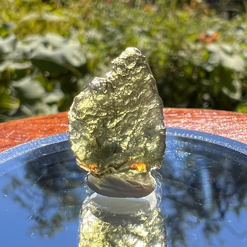 Moldavite 1 gram #1510-Moldavite Life