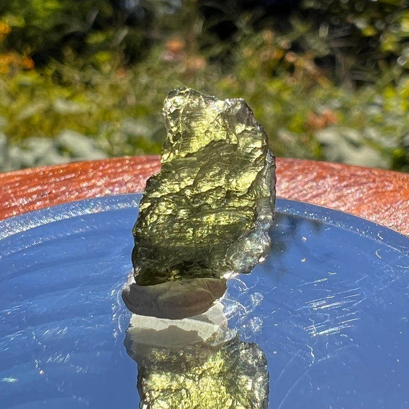 Moldavite 1 gram #1539-Moldavite Life