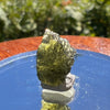 Moldavite 1 gram #1550-Moldavite Life