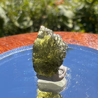 Moldavite 1 gram #1550-Moldavite Life