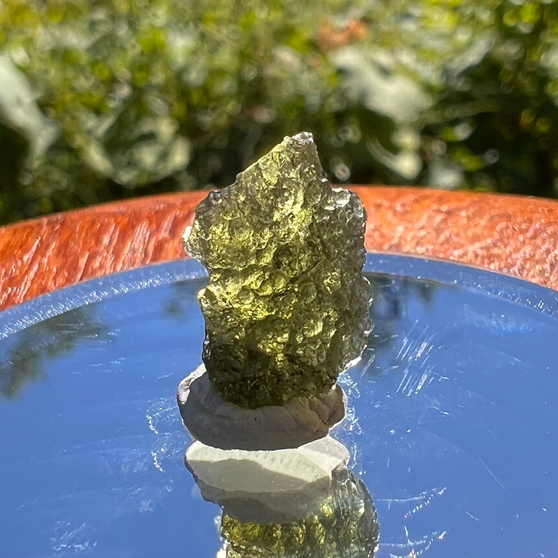 Moldavite 1 gram #1550-Moldavite Life