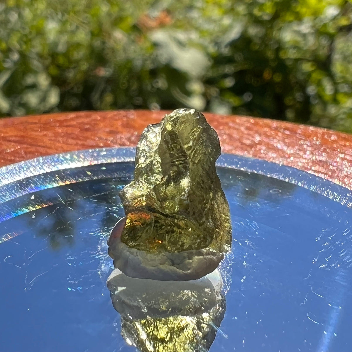 Moldavite 1 gram #1553-Moldavite Life